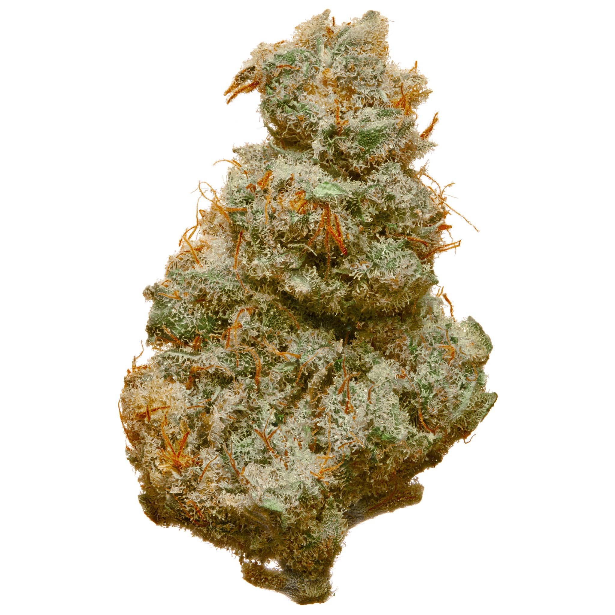 Key Lime Pie Hydroponic Hemp Flower For Sale Buy Hemp Flower