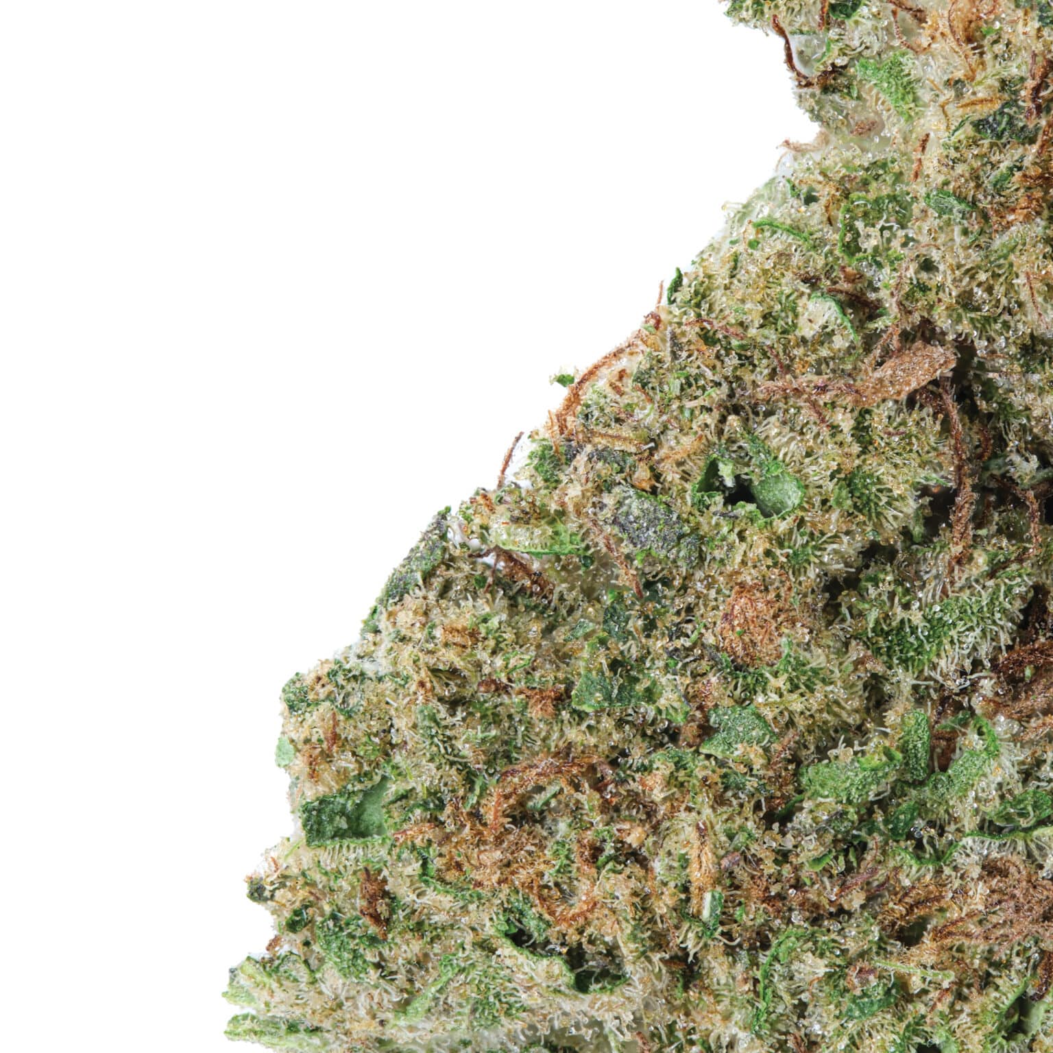 Miracle Alien Cookies High THCa Hemp Flower