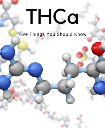Blog Title: Five Things You Should Know About THCa