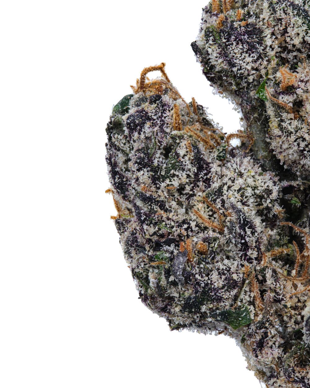 Lemon Cherry Gelato High THCa Hemp Flower