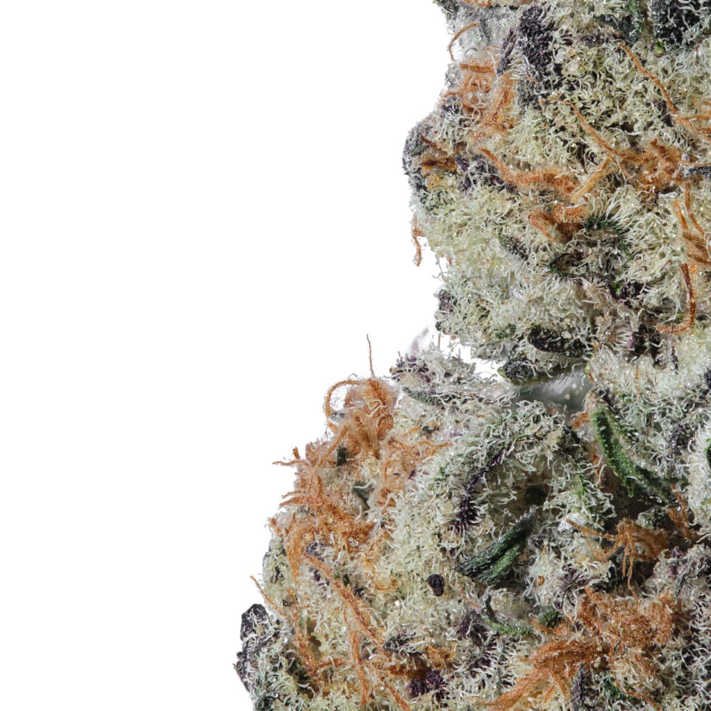 Grape Cream Cake THCa Flower Arete Hemp