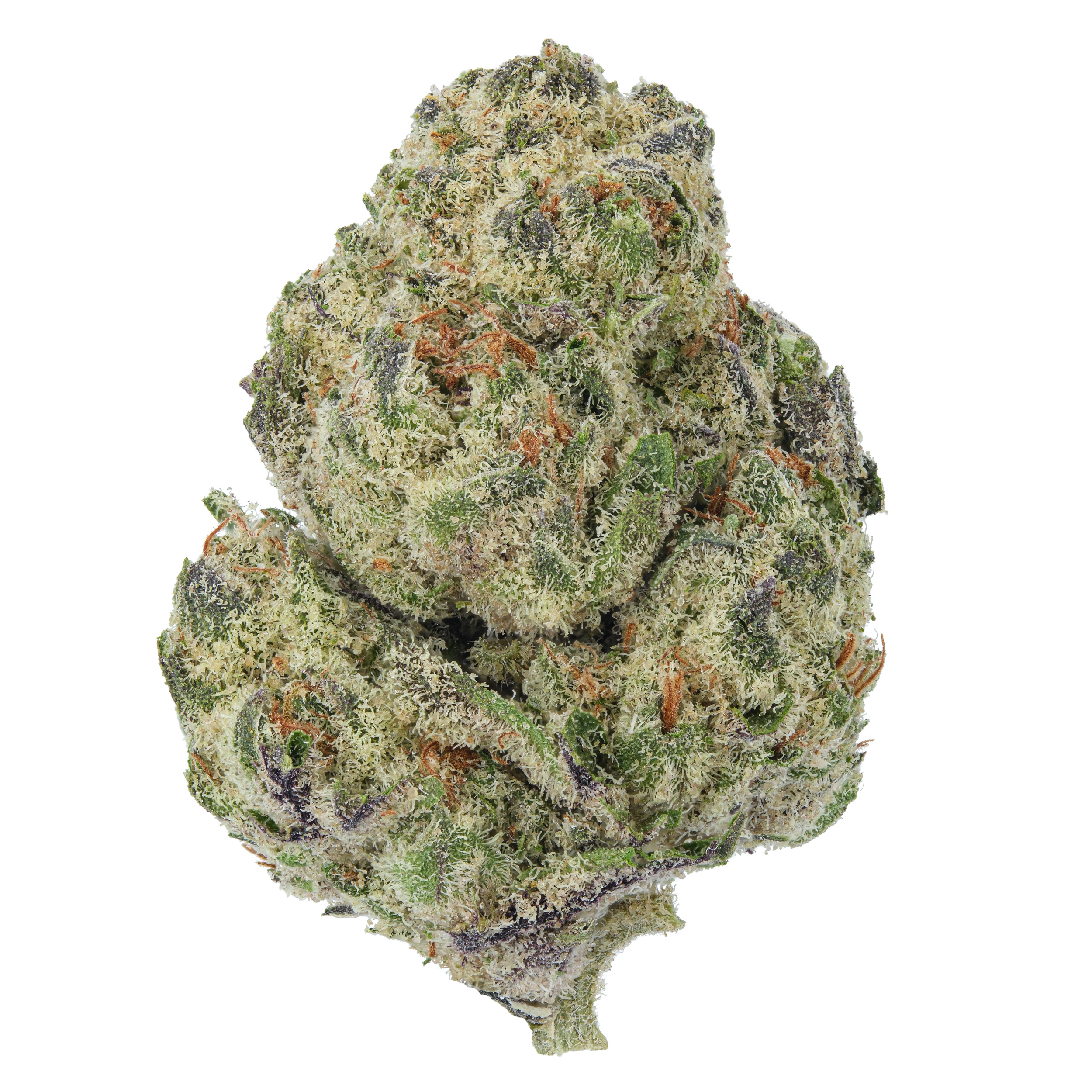 Northern Lights 5 High THCa Hemp Flower