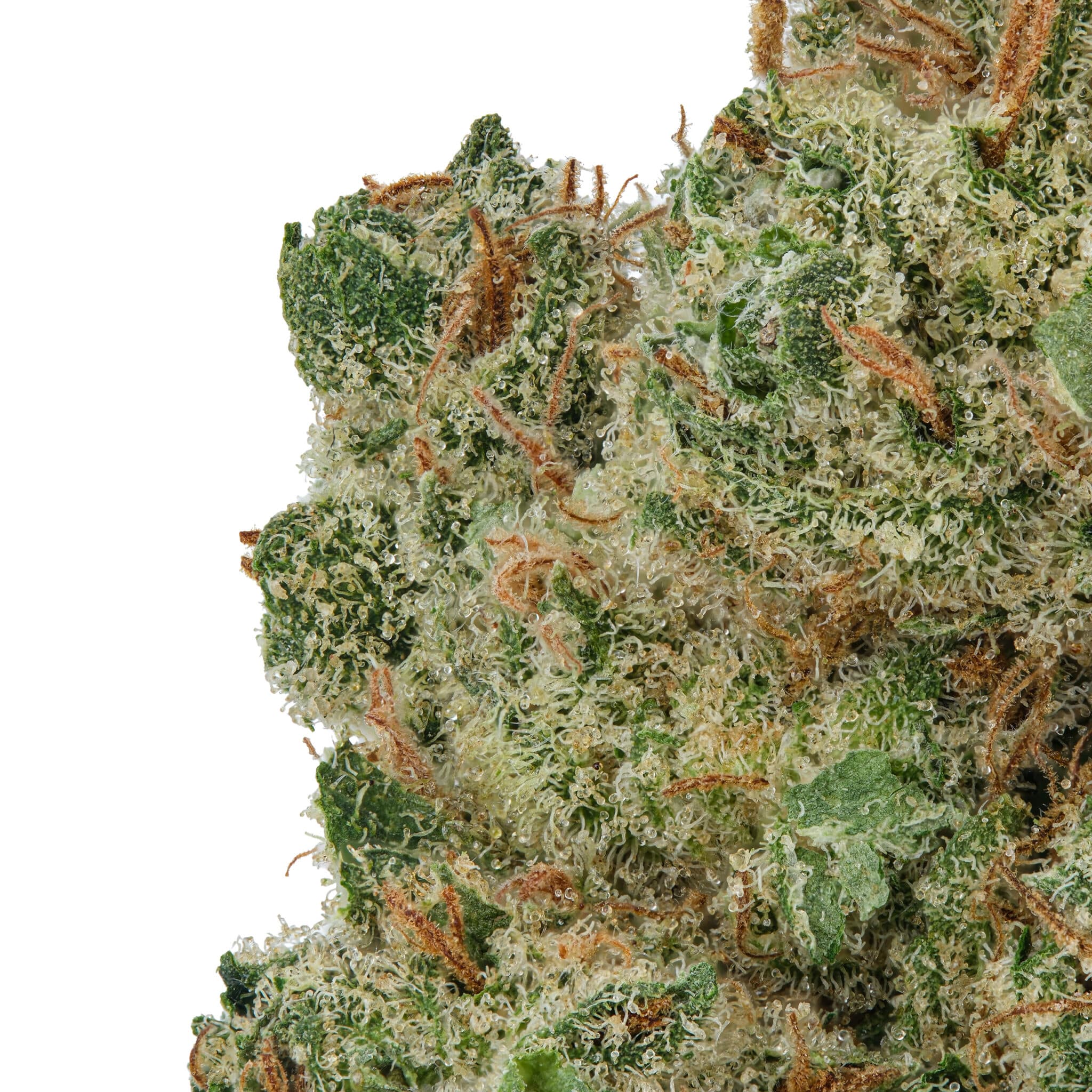 Peanut Butter Breath THCa Flower Arete Hemp