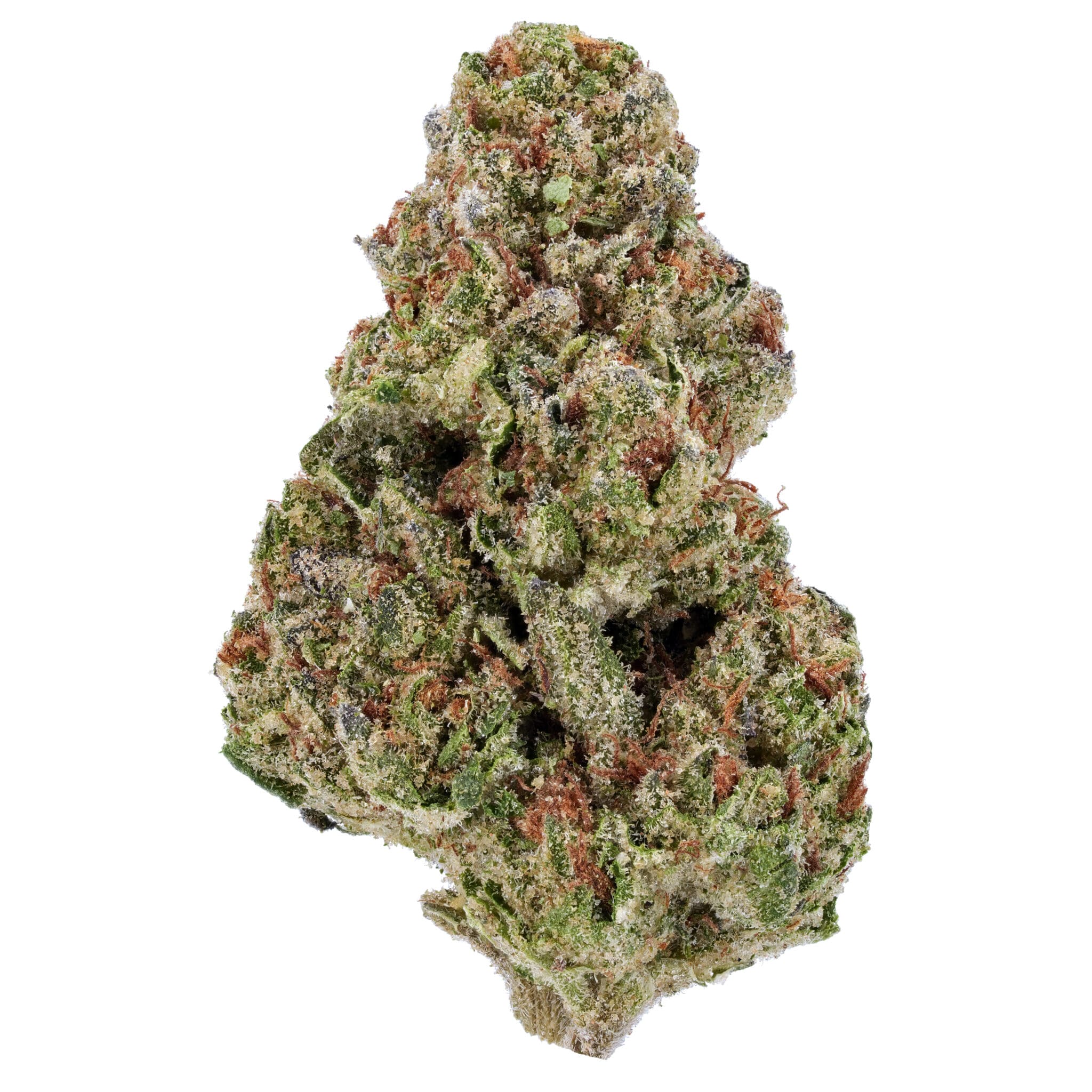 weed XJ-13 THCA Flower - Asheville Dispensary