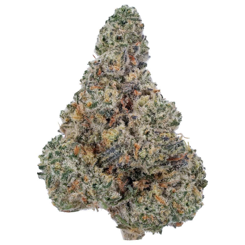 Galley image 1 of 11 - Blue Cheese THCa Flower