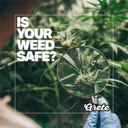 Blog title: Is Your Weed Safe?