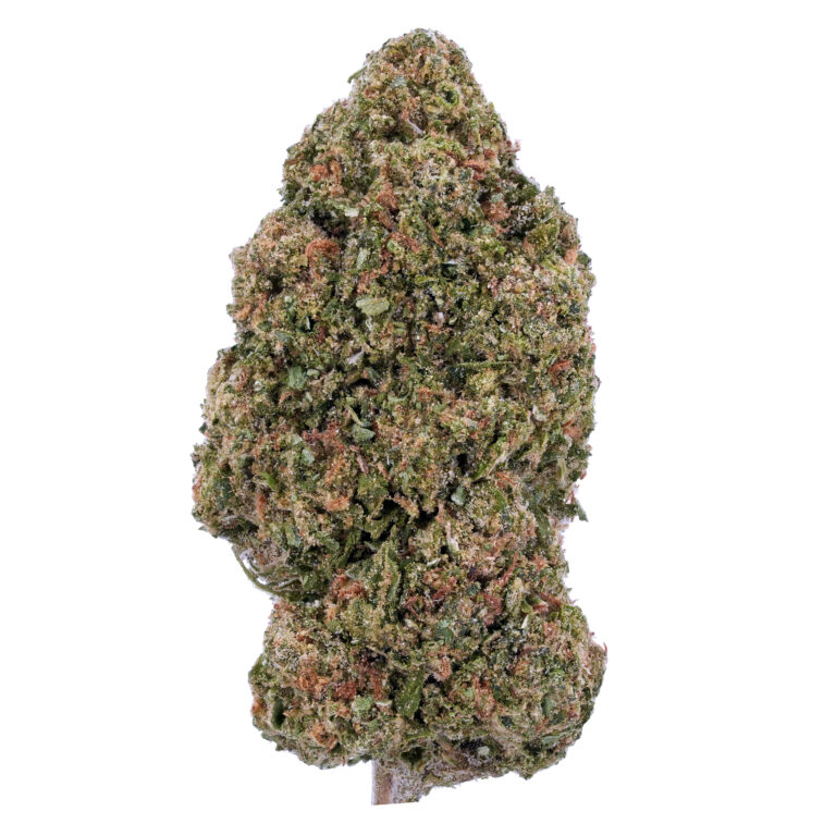 Rainbow Sherbet #11 THCa Flower