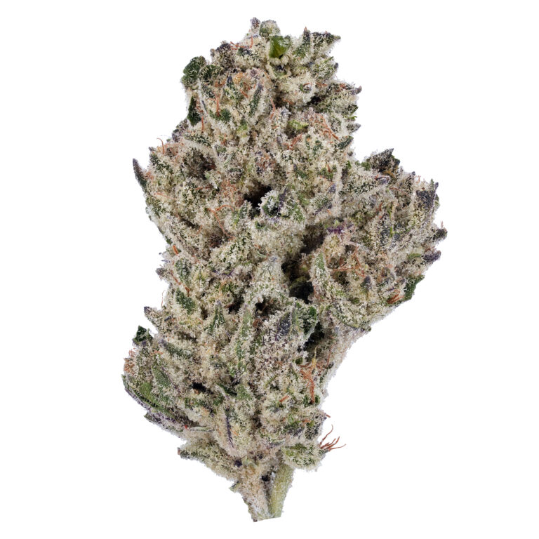 Animal Cookies THCa Flower