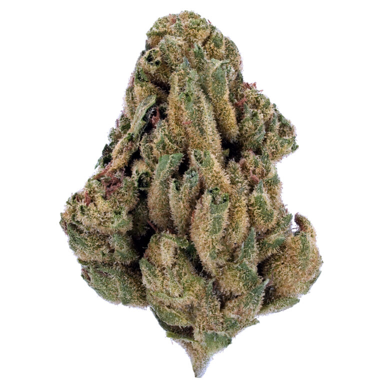 Cheetah Piss THCa Flower