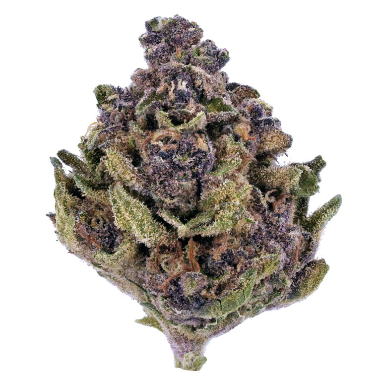 Grand Daddy Purple THCa Flower