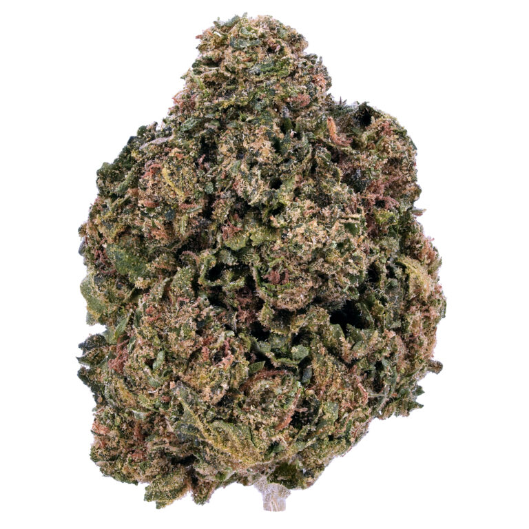 アダチキ中粒15キロ×2個 AL_Dark_Web_10G_Menu_Photo_FUL